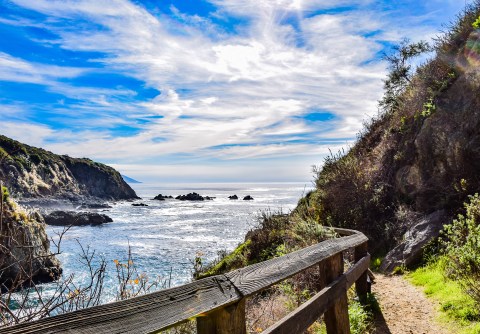 Partington Cove in Julia Pfeiffer Burns State Park. Photo © Gloria Moeller/Dreamstime.