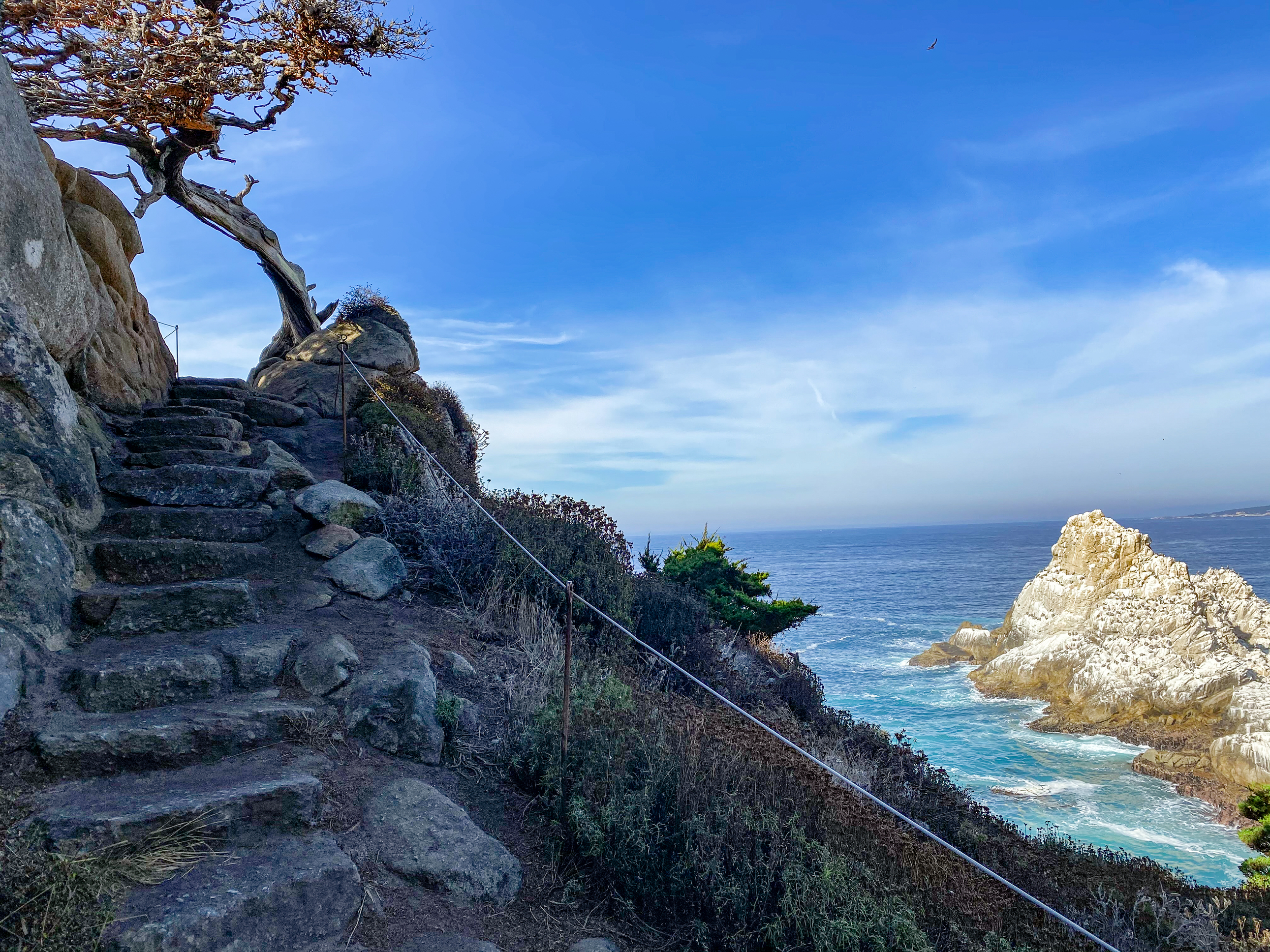 What to See in Carmel-by-the-Sea | Moon Travel Guides