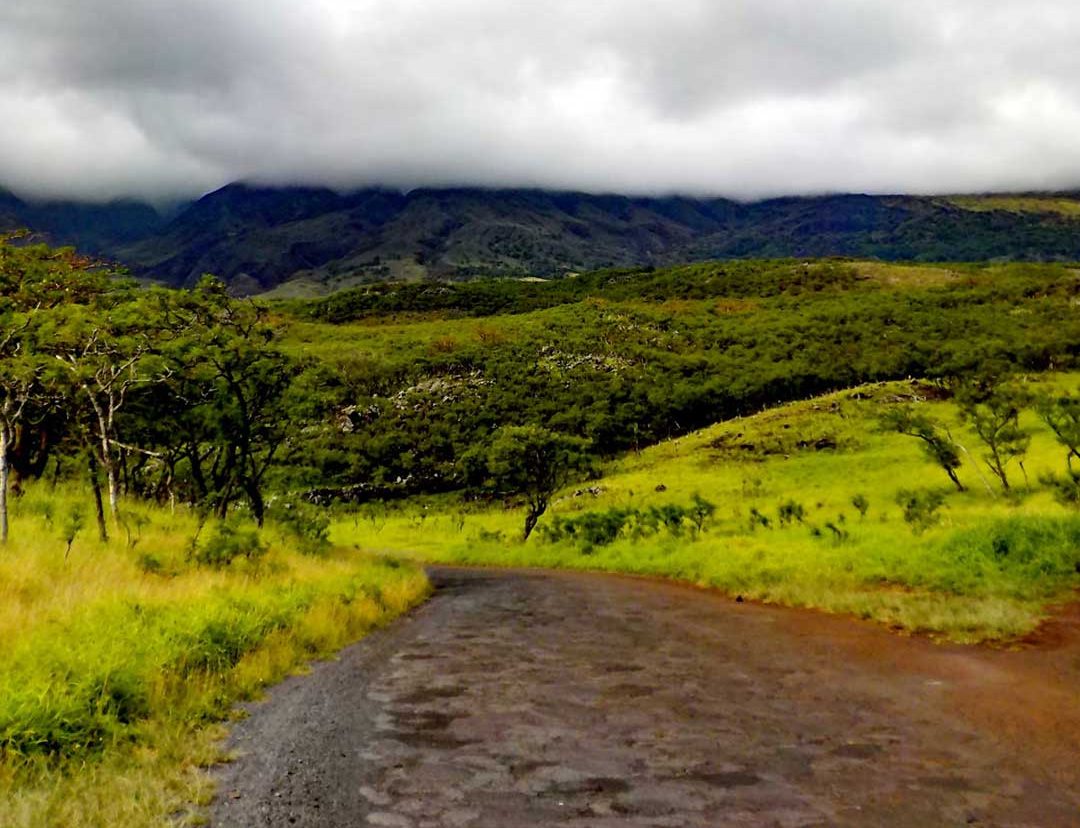 Driving The Back Road to Hana | Moon Travel Guides