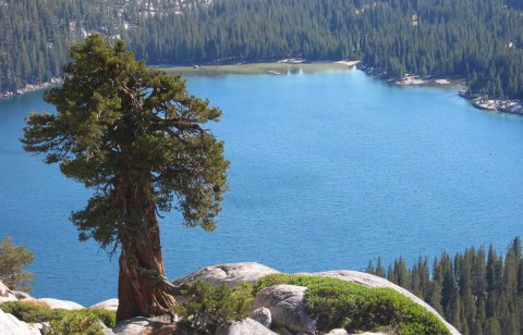 view of tenaya lake from above