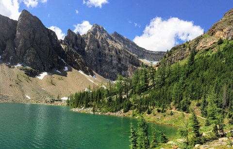 green hued lake surrounded by trees and mountains