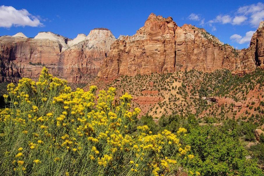 その他 Scenic National Parks: Zion &amp; Bryce [Blu-ray] Amazon.com: Scenic National Parks: Zion & Bryce [Blu-ray] : N/a, N