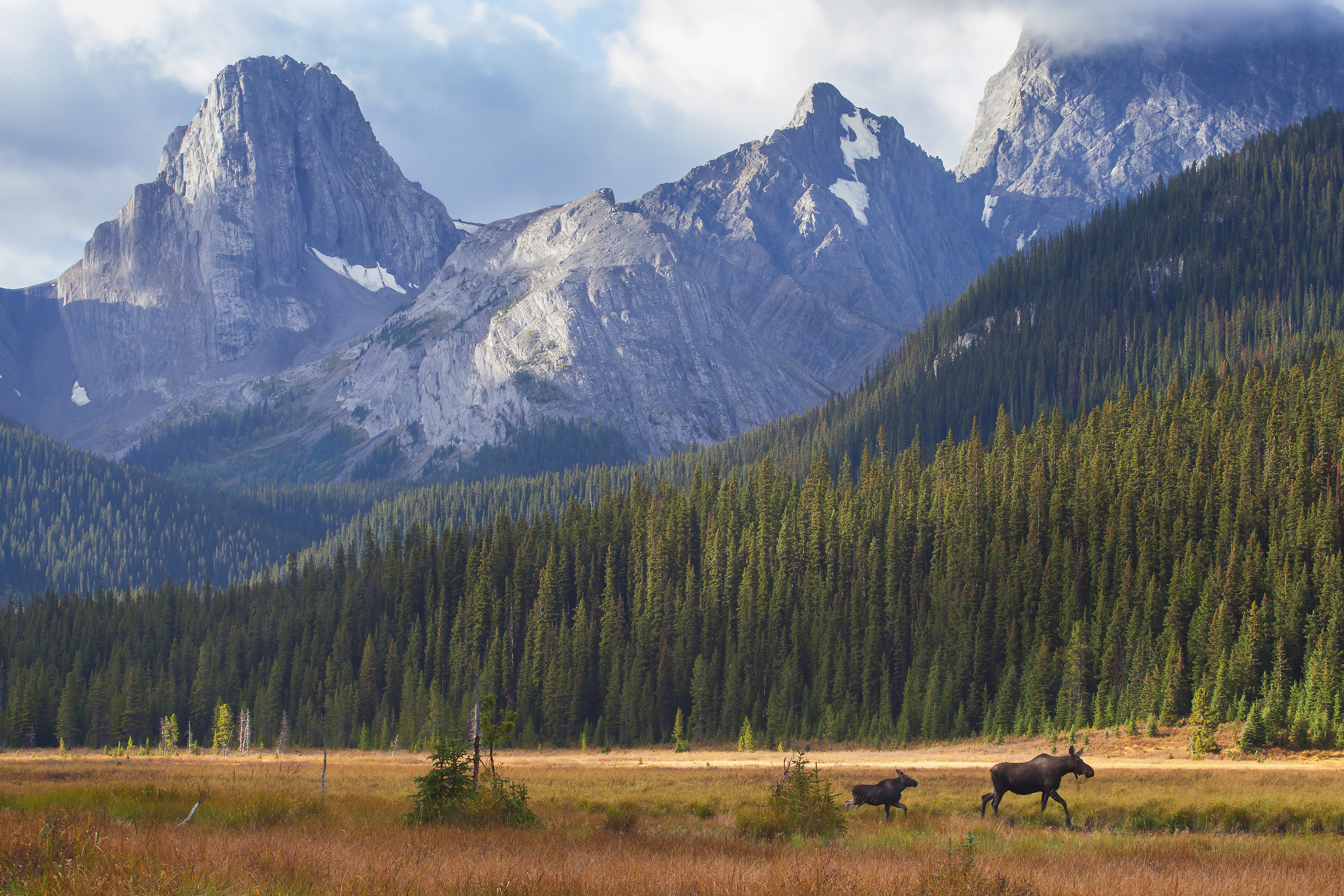 Road-Tripping the U.S. and Canadian Rockies | Moon Travel Guides