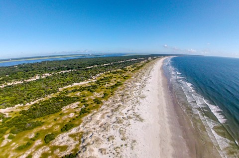 the coast of Cumberland Island on a sunny day in Georgia