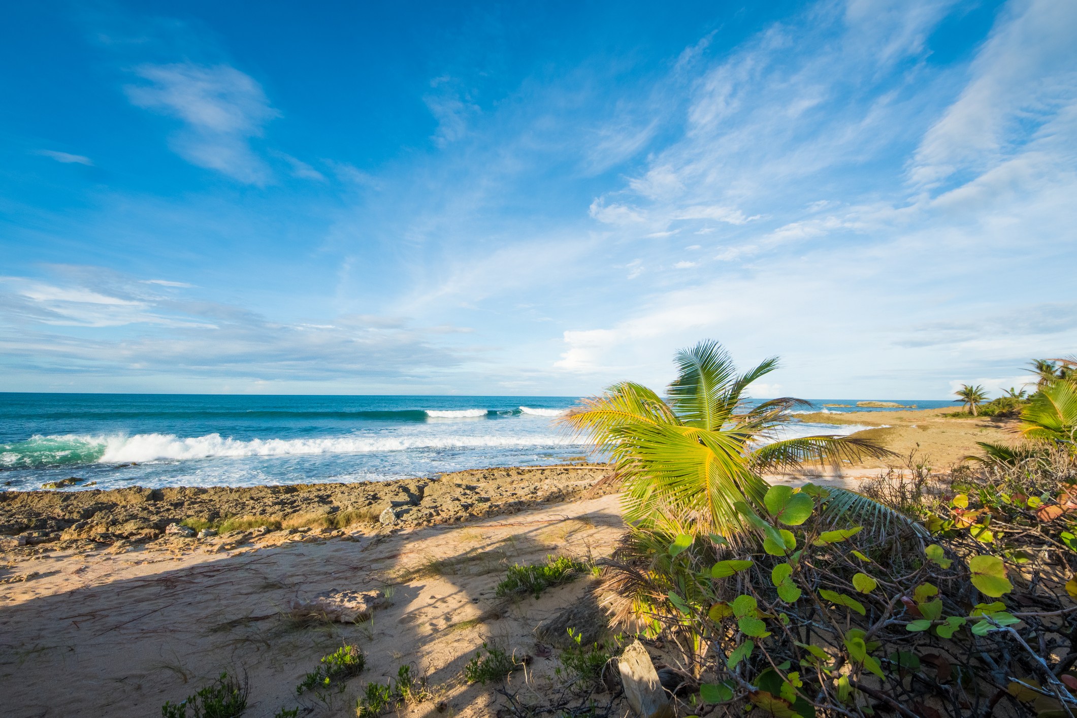 The Best Things to Do in Piñones, Puerto Rico | Moon Travel Guides