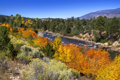 river winding through fall foliage on a clear, sunny day