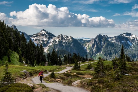A hiker on a trail in a green field leading to snowcapped mountains.