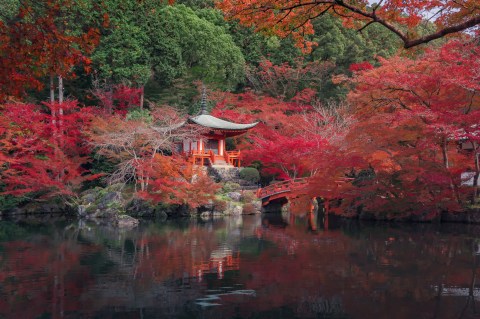 Japan in Autumn