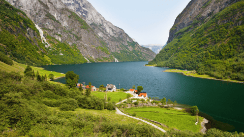 Cluster of red-roofed houses on lush hill next to dramatic fjord